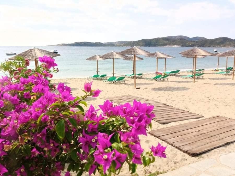 Vilas In The Garden By The Sea Sykia Chalkidikis Exterior photo
